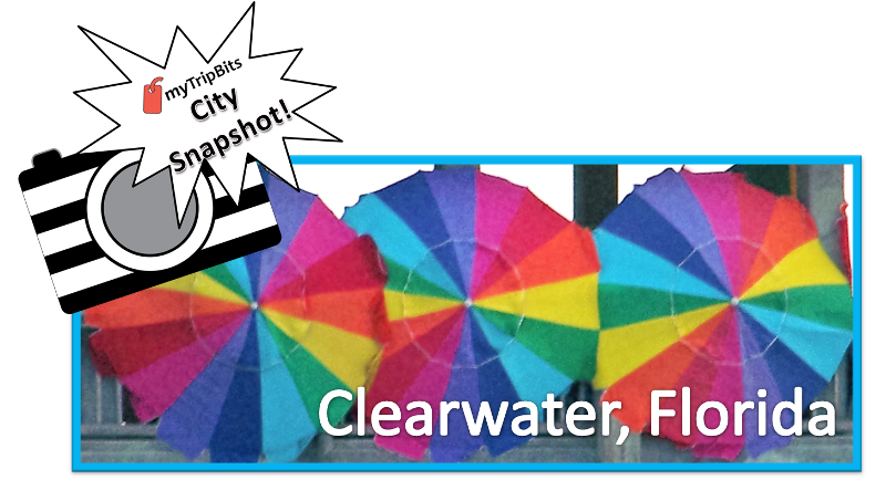 clearwater florida snapshot