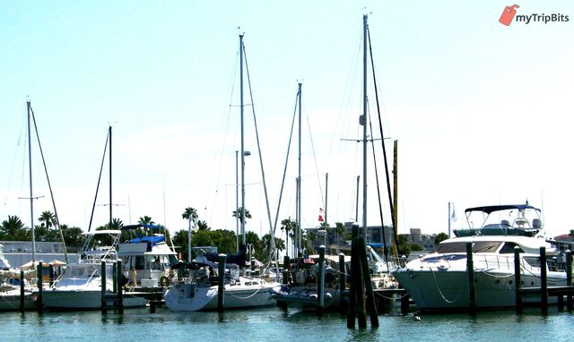 Clearwater Dock
