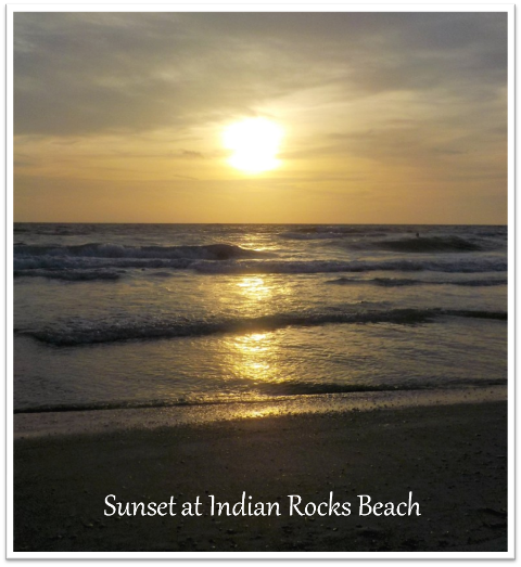 the Cove at Indian Rocks Beach Review