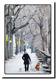 Central Park Sidewalk