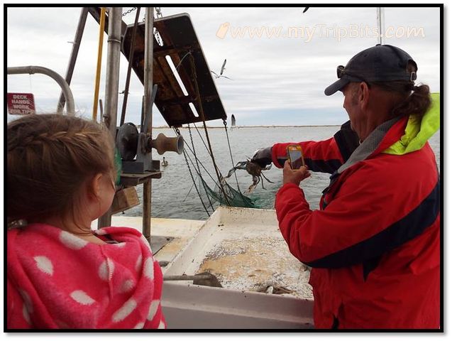 Bluecrab on board the Sailfish