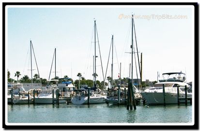 Clearwater Marina