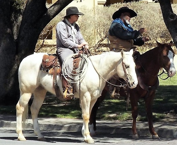 Fort Worth Cowboys