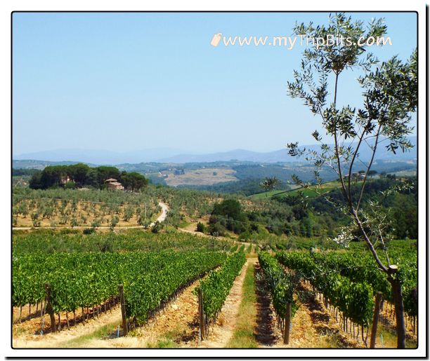 Tuscan Countryside